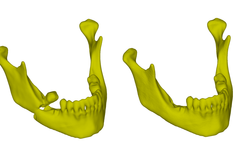 Na Politechnice Rzeszowskiej powstał model żuchwy wykonany techniką druku 3D